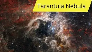 Tarantula Nebula Captured By James Webb - 4K Video