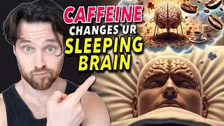 It's Official - CAFFEINE Alters Your BRAIN STATE While You Sleep | The Longevity Impact