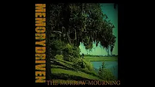 MEMORYDRIVEN-MEIOSIS (THE MORROW MOURNING)