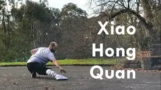 Shaolin Xiao Hongquan - Kung Fu / Wushu