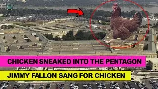 Chicken caught entering the pentagon and special song by Jimmy Fallon (Henny Penny)