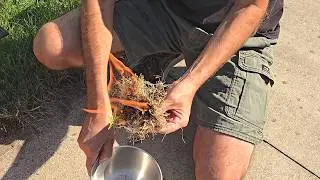Fire Making from a Magnifying Glass