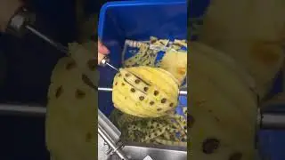 relaxing fruit video #asmr #asmrsleep #calming #fruitcutting #notalking 1767066104738