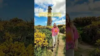 This easy 12km hike has Dublin&rsquo;s best view - The Scalp Loop (with public transportation access) 🚶&zwj;♀️