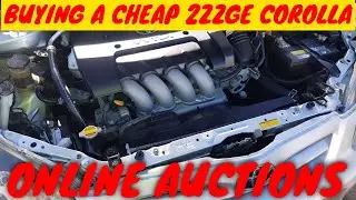 2ZZ-GE TOYOTA COROLLA  | BARGAIN BUY  (Baby Rolla Episode 1)