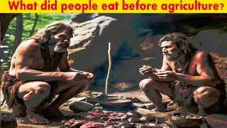 What did people eat before agriculture? | What Sustained Humans Before Agriculture | ABC NEWS