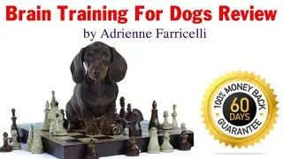 Brain Training For Dogs Review -  Is Brain Training 4 Dogs Good?