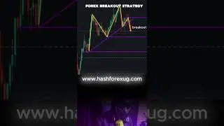 forex support and resistance breakout strategy