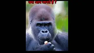 #facts #gkfacts #factsinhindi #generalknowledge #educational #animals #amazingfacts #funny #shorts