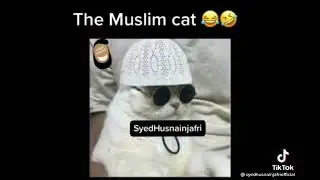 The Muslim Cat Funny Video 😂😂🙀😂😂😻🤣