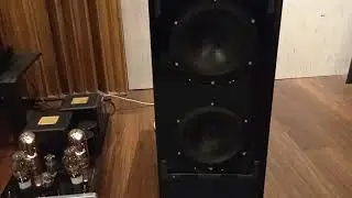 Wilson Audio Watt/Puppy 7 driven by Cary Audio  SLP98 and CAD-211 M Anniversary Edition