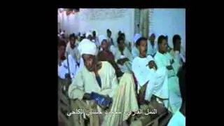 النمل  الشيخ محمود حسانين الكلحي