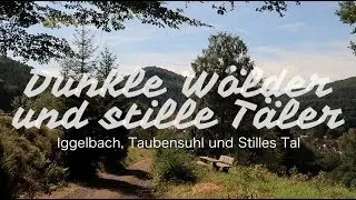 Dunkle W&auml;lder und stille T&auml;ler - Iggelbach, Taubensuhl und Stilles Tal | Wandern in der Pfalz