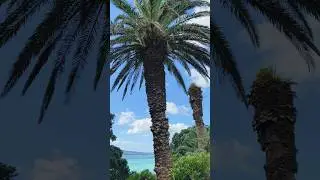 Discover the Idyllic Beaches of New Zealand: A Paradise for Sun, Sand, and Sea Lovers #travel #nz