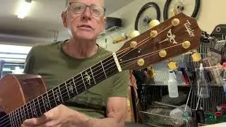 Taylor 910 1989