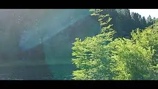 Caminando por los senderos de Villa Meliquina | San Martín de los Andes 2026
