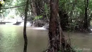 Водопад Ti Lo Su. Umphang. Thailand. 159