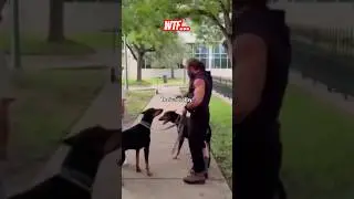 Liver King EXPOSED in Shocking Footage!