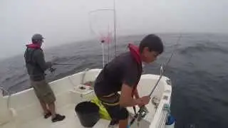 Boat Fishing - Fishing Bream - Pesca Sargos