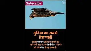 Study and motivation 📚 #genesis #subscribe #short #motivation #gk #indian