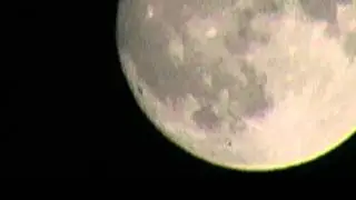 strange birds crossing the Moon