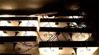 Cxb 3590 cob led grow light 200w full spectrum lamp cob full spectrum 100 watt led grow light 120v