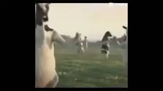 When download Free fire