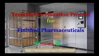 Terminal Sterilization Process or TS