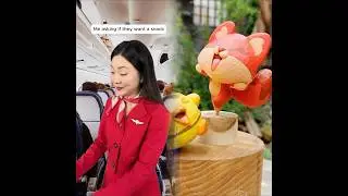 True flight stories you wouldn&rsquo;t believe#shorts