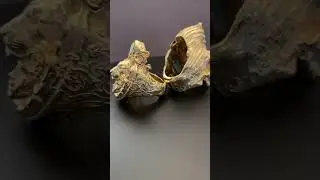 This Ring Changes Faces Before Your Eyes!