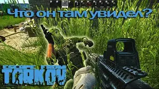 ТАРКОВ ( ЖИВОЙ ЧАТ ) Escape from Tarkov