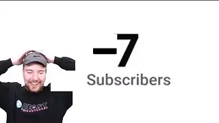 MRBEAST HITS NEGATIVE SUBSCRIBERS!