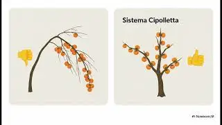KAKI A CELLOLE (CE): LA POTATURA CHE COSTRUISCE LA PRODUZIONE