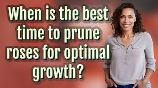 When is the best time to prune roses for optimal growth?