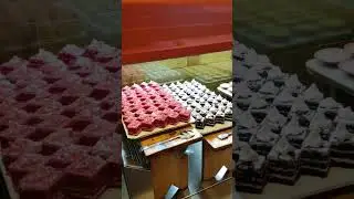 Barbeque Nation Deccan Pune🍢🍖🔥 #barbeque #unlimited #chaltaphirta #shortsvideo