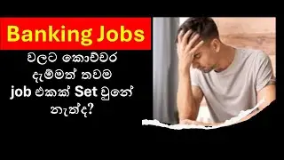Why Finding a Banking Job in Sri Lanka is Challenging | Practical Tips to Secure Your Dream Job