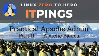 Practical Apache Admin Part 2 | Apache Basics | Fundamental of apache | @tekco77 @LinuxKing