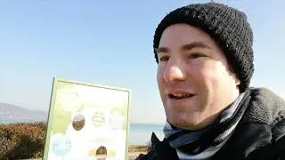 A Winter visit to Badacsony on the Northern Shore of Lake Balaton.