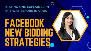 Facebook Bidding Strategies in Ads with Updates in Urdu/Hindi