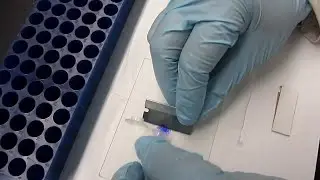Sample preparation for proteomics- Direct infusion & LC-MS/MS
