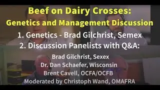 Brad Gilchrist: Beef on Dairy X Genetics (plus Schaefer&Gilchrist Panel)