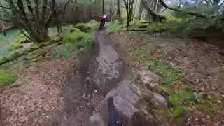 Clumsy Hawk - Tollymore MTB #cycling #mondrakerbikes #mtblife #enduromtb