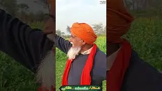 jag faqira jag wala|Baba dilbar Noshahi| Noshahi Bol|yt studio #viral short