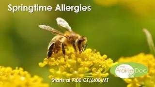 Springtime Allergies