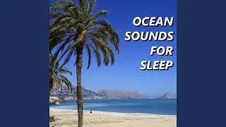 Pleasing Pebbly Beach Sounds