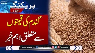 Wheat Price Update in Punjab | Chairman PFMA's Statement | Samaa TV