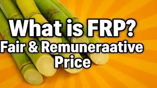 What is FRP? Fair & Remunerative Price Explained | Sugar Industry Economics for Farmers