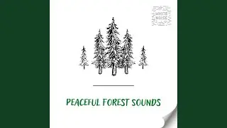 [White Noise] Melodious Songbird Sounds - Loopable