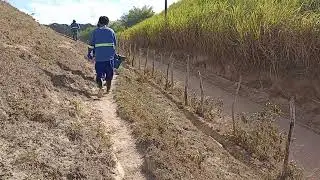 Preparação de #ferramenta para o #trabalho aguação das #mudas de eucalipto.