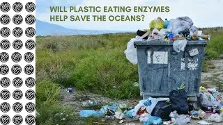 Plastic-Eating Enzymes: A Microscopic Solution to a Macro Problem